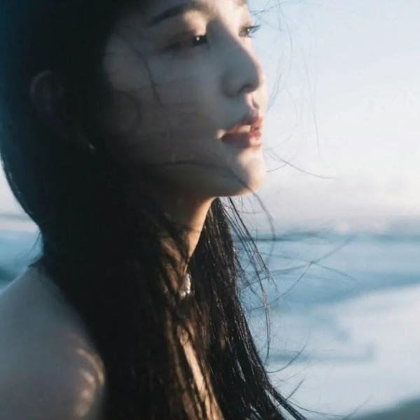 蔷薇的记号海报